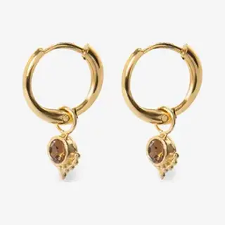 Sissy-Boy Gold Plated Oorbellen Met Bruine Steen