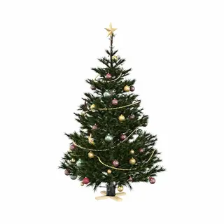 VidaXL Christbaumständer Weihnachtsbaumständer 1.73 Schwarz 50 X 50 X 16 Cm (1-tlg)
