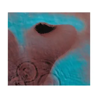 Columbia/Legacy Meddle [Vinyl Lp]
