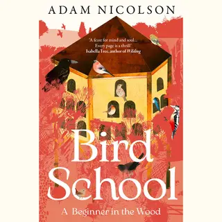Bird School