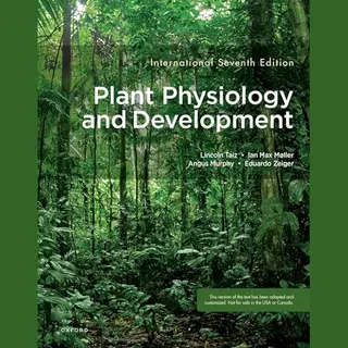 Oxford University Press Plant Physiology And Development