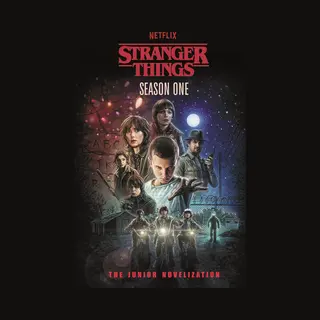 Stranger Things- Stranger Things, Season One