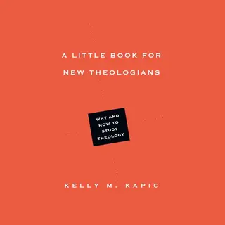 A Little Book For New Theologians