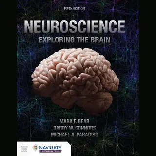 Neuroscience, Exploring The Brain