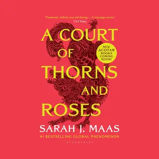 Isbn A Court of Thorns and Roses 432 pagina's Engels