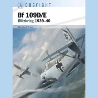 Dogfight- Bf 109D/E
