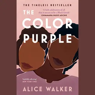 Hachette Uk The Color Purple boek Engels Paperback 288 pagina's