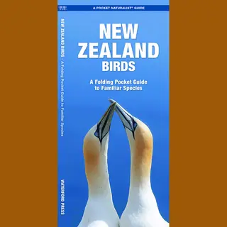 New Zealand Birds