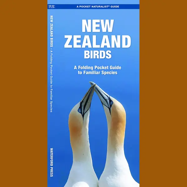 New Zealand Birds thumbnail