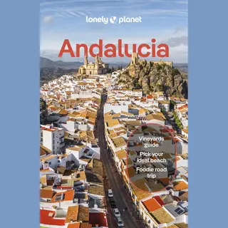 Travel Guide- Lonely Planet Andalucia