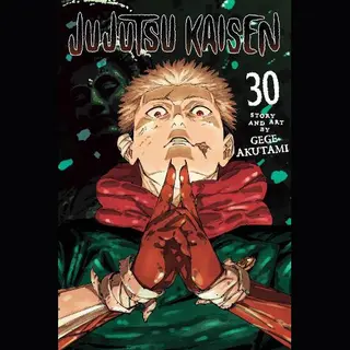 Jujutsu Kaisen- Jujutsu Kaisen, Vol. 30