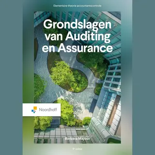 Grondslagen Van Auditing En Assurance