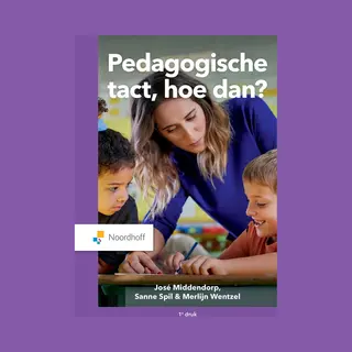 Sanne Spil Pedagogische Tact, Hoe Dan?