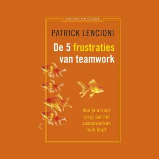 De 5 Frustraties Van Teamwork