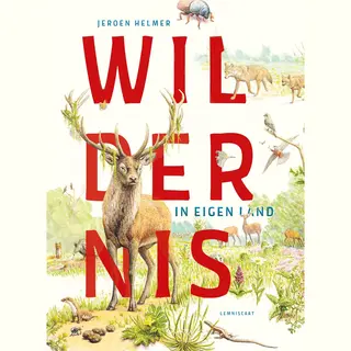 Wildernis In Eigen Land