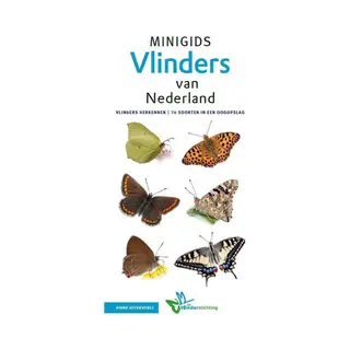 Vlinders / Minigids