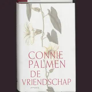 Connie Palmen De Vriendschap