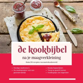 Marie josee Koks De Kookbijbel Na Je Maagverkleining