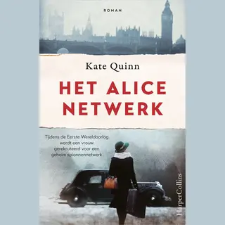 Het Alice-netwerk