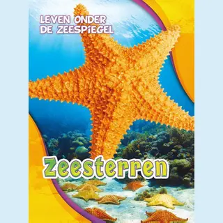 Leven Onder De Zeespiegel - Zeesterren