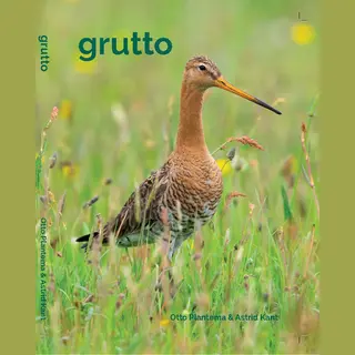 Grutto
