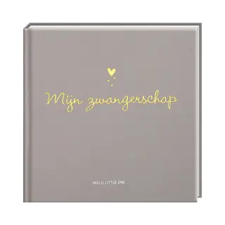 Baby Invulboeken - Mijn Zwangerschap