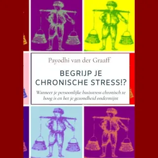 Begrijp Je Chronische Stress!?