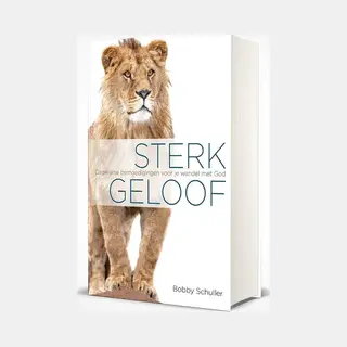 Bobby Schuller Sterk Geloof