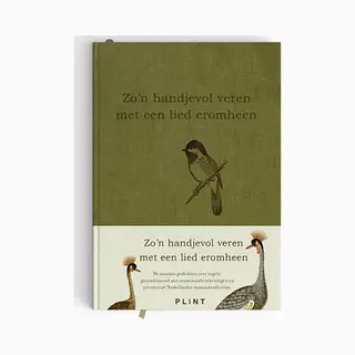 Plint - Zo'n Handjevol Veren Met Een Lied Eromheen